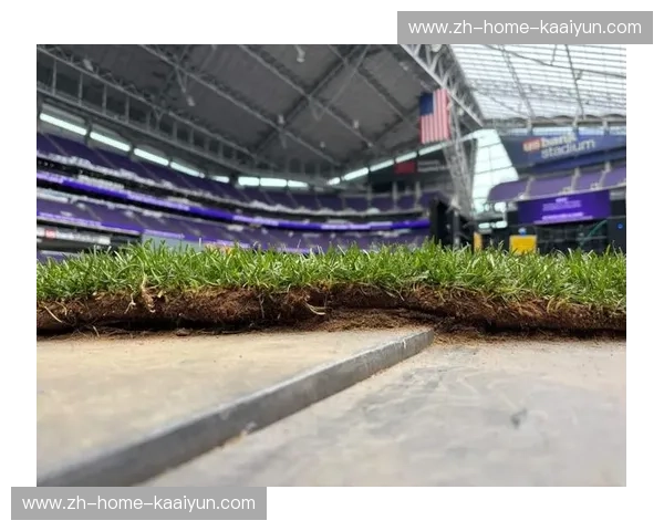 北美11座NFL球场启动草皮改造工程 人造草转天然草成本超千万美元